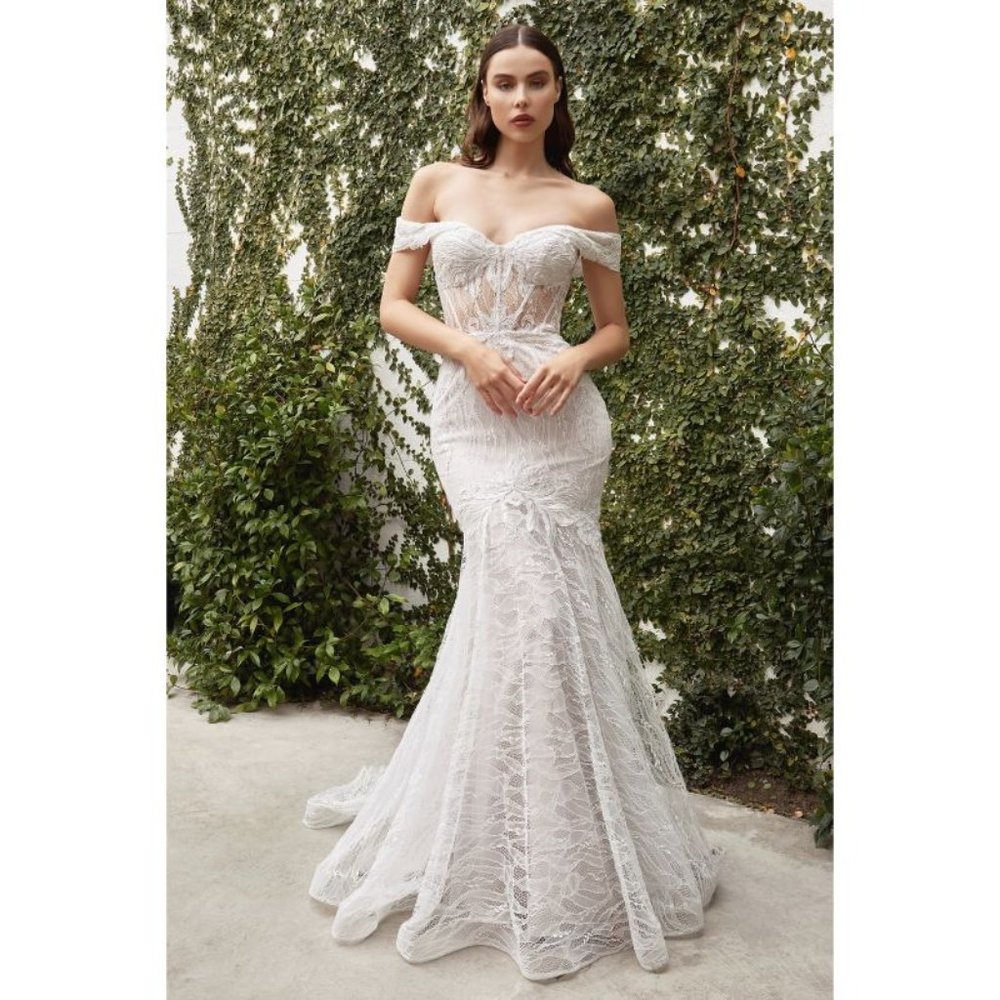 NEW WEDDING EVENING OFF SHOULDER JOLIE LACE BRIDAL GOWN LONG DRESS A0666W - Picture 3 of 6